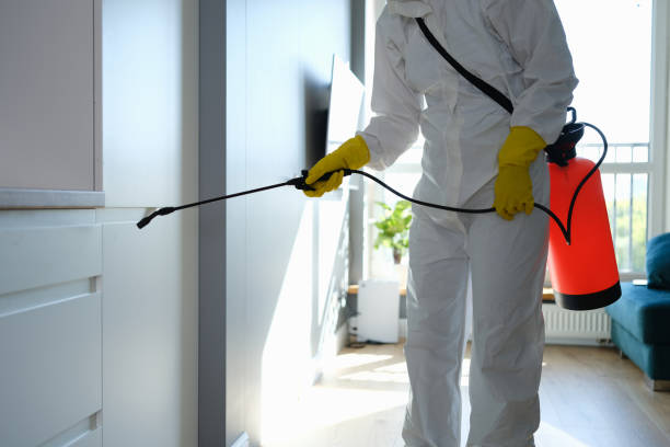 Crawl Space Mold Removal in Gallitzin, PA
