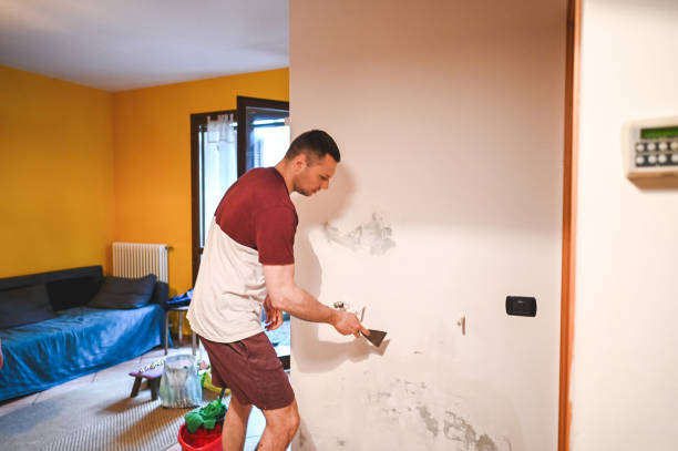 Home Mold Removal in Gallitzin, PA